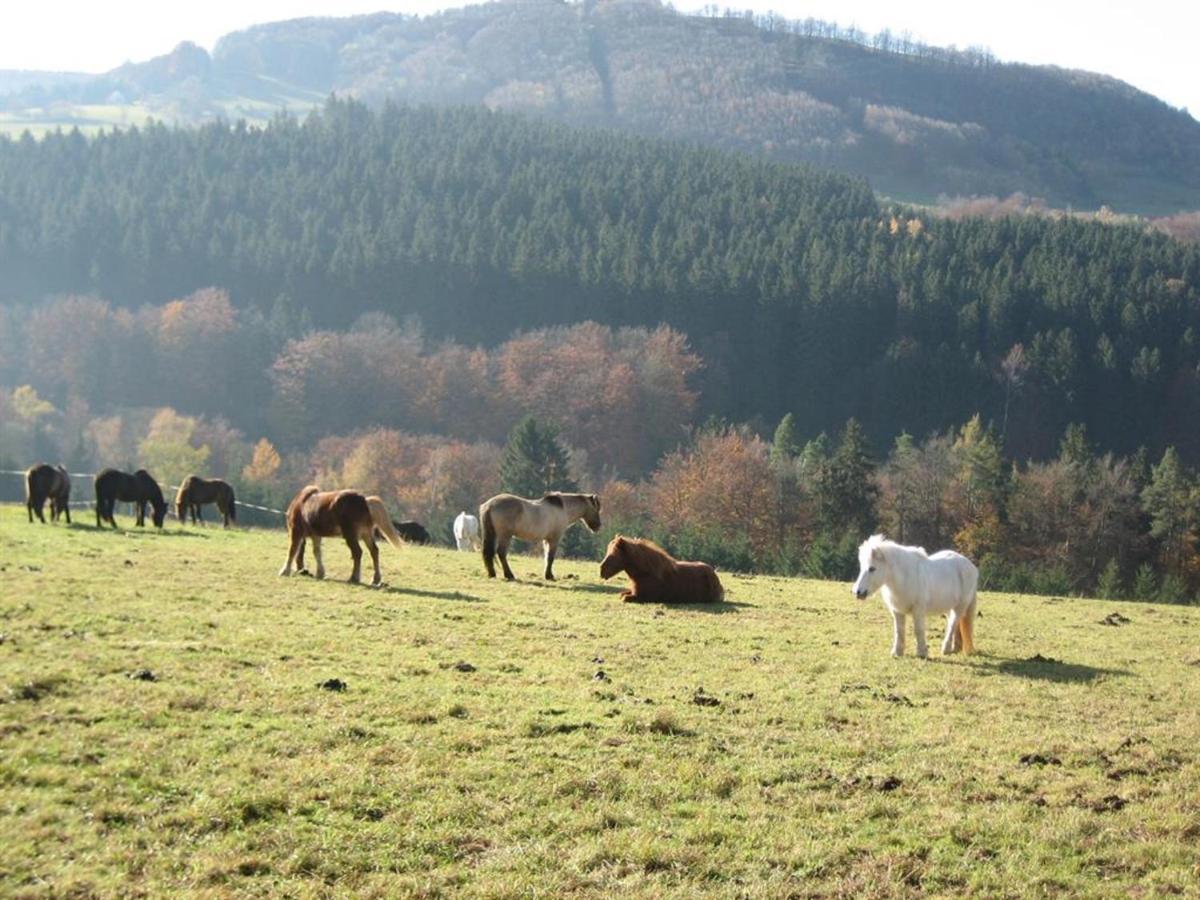 Ferienhaus Rhoenspass Mosbach  エクステリア 写真